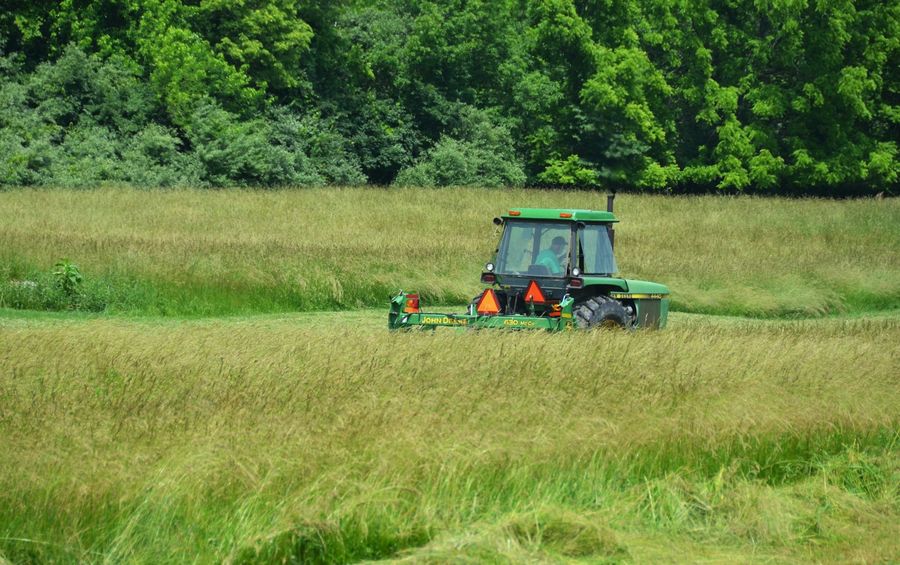 Traktor mit Mähwerk bei Mäharbeiten auf einer Grünfläche am Waldrand